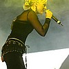 LeavesEyes003.JPG
