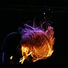 Suffocation_10.JPG