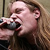 Osyris_03.JPG