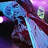 SkinnyPuppy_139.JPG